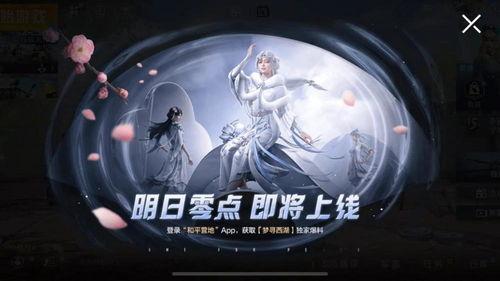 至美皮肤最新爆料视频,惊艳效果与神秘技术大揭秘 第2张 至美皮肤最新爆料视频,惊艳效果与神秘技术大揭秘 第2张